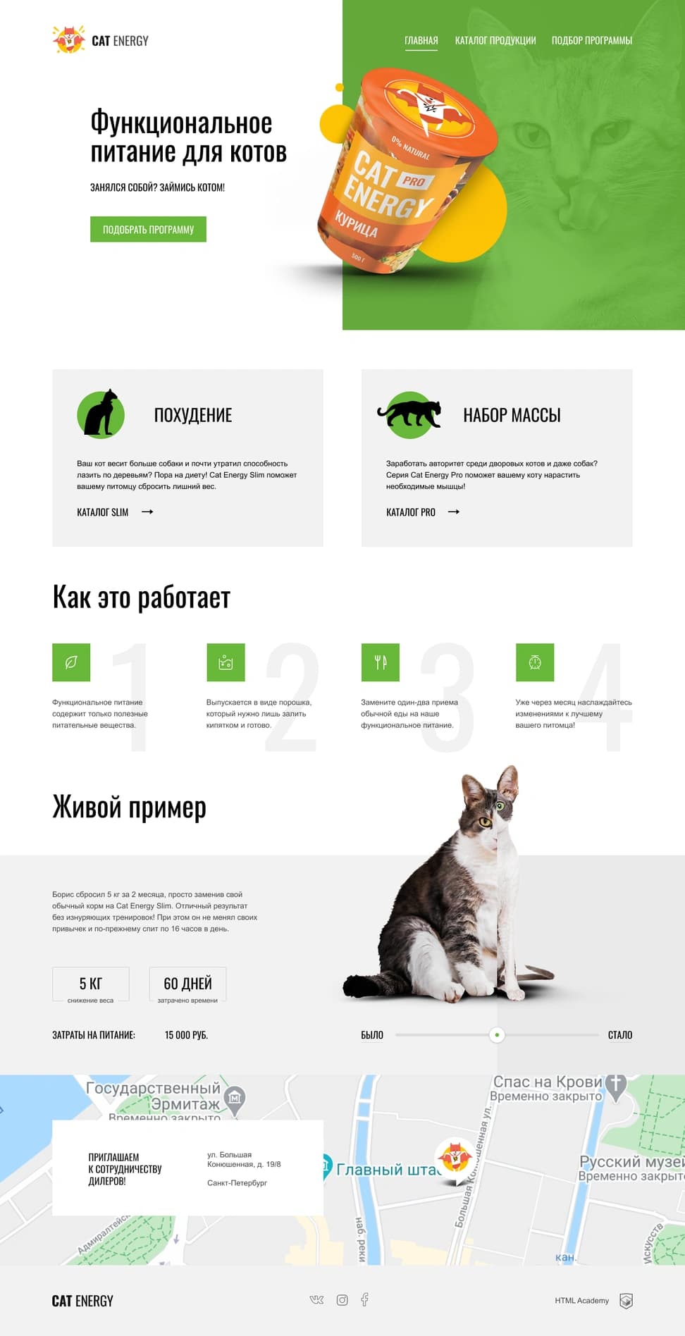 Cat Energy Multipage Website — Pet Food - Preview 1